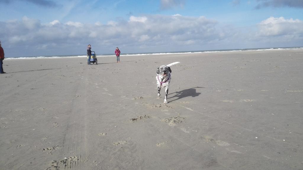 Villa Repelsteeltje Op Terschelling Formerum Esterno foto